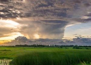 Ученые подсчитали, какая часть Земли не подвержена влиянию человека