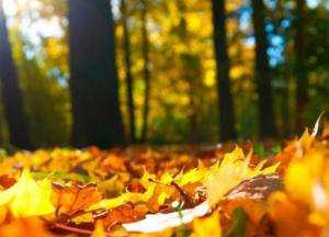 Прогноз погоды на 12 сентября: в Украине солнечно, ни капельки дождя