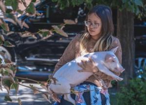 В Днепре иностранка живет в квартире со свиньей и теленком (видео)