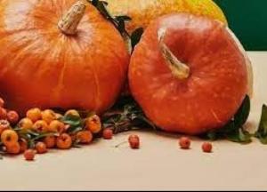 Специалисты рассказали о пользе тыквы для здоровья
