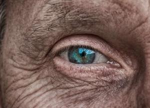 Ученые объяснили, какой будет дальнейшая эволюция человека