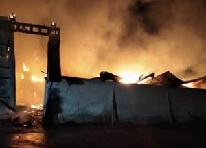 На Ивано-Франковщине на складе сгорели сотни тонн зерна (фото)