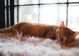 Прогноз погоды на 29 января: на большинстве территории Украины ухудшится погода