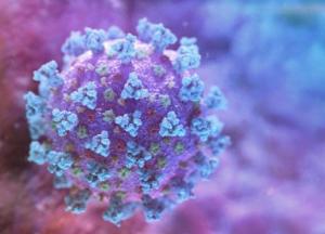 Новый COVID-19 выявили еще в четырех странах, ВОЗ призывает усилить контроль