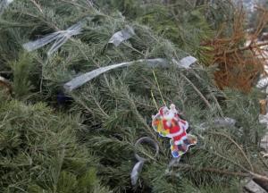 В Киеве откроют 15 пунктов по утилизации новогодних елок