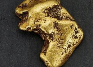 В реке нашли уникальный золотой самородок (фото)