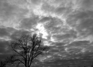 Прогноз погоды на 18 декабря: в Украине будет гололедица и туман