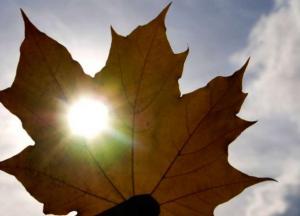 Прогноз погоды на 24 сентября: ночью заморозки, днем прохладно