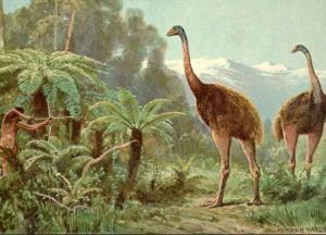 Археологи нашли останки птицы, жившей более 3 тыс. лет назад