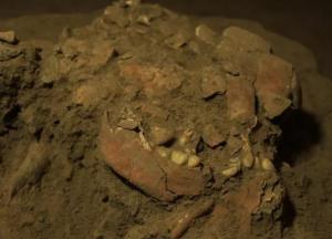 В Индонезии найдены останки девушки, принадлежавшей к неизвестному ранее виду людей