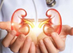 Названы продукты, вызывающие болезни почек