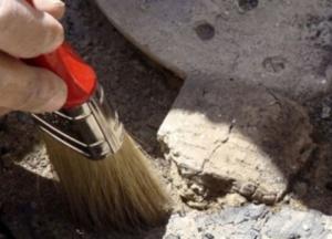 В Аргентине обнаружили останки древнего крылатого ящера