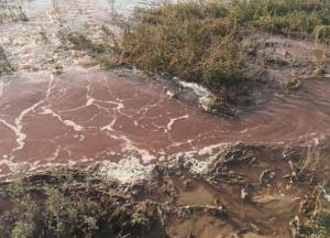 Азовское море оказалось под угрозой из-за токсичных отходов в реке (фото)