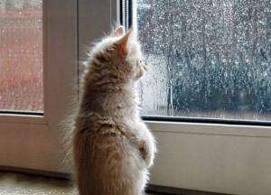 Прогноз погоды на 5 октября: холод и дожди (карта)