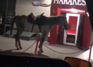 Мужчина на коне устроил стрельбу в кафе (видео)