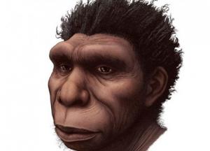 Ученые открыли новый вид предка человека