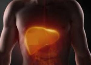 Врачи назвали симптомы разрушения печени