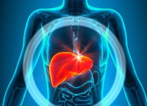 Врачи назвали продукты, которые вредны для печени