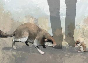 Ученые реконструировали внешность грызуна, жившего 2 млн лет назад