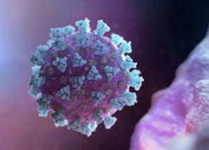 Ученые обнаружили, какая разница появления мутаций у коронавируса от других вирусов