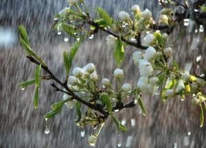 Тепла в мае не ждите: синоптик рассказал, какой будет весна в Украине