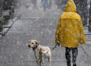 Прогноз погоды на 17 декабря: в Украине – дождь со снегом