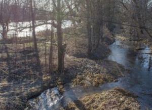 В Украине кардинально изменится климат: эксперт озвучил прогноз