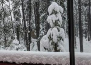 «Легли спать летом, а проснулись зимой»: Канаду завалило снегом (фото, видео)