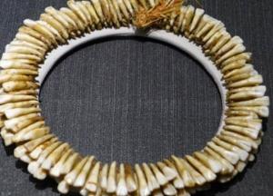 Археологи обнаружили древние украшения из человеческих зубов