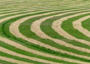 Археологи разгадали загадку таинственных кругов в Польше