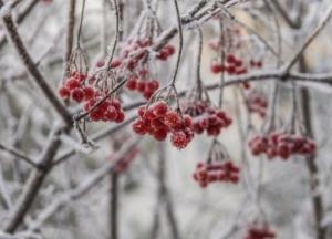 Синоптики рассказали, какая погода будет в декабре