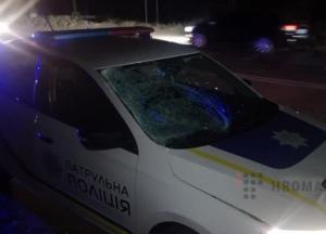 В Полтаве патрульные насмерть сбили пешехода