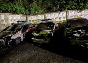 Жінка спалила вщент 5 авто Росгвардії і збила пішохода при спробі втечі, поки вдома чекала 3-місячна дитина