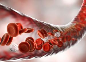 Ученые назвали полезные для сосудов продукты