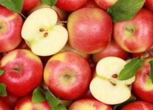 Медики назвали фрукт, который поможет очистить сосуды