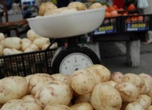 Минэкономики планирует запретить импорт картофеля из России
