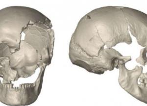 Ученные расшифровали геном человека, жившего на территории Европы 45 тысяч лет назад