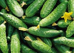 Медики рассказали, кому нельзя есть огурцы