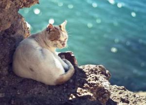 Прогноз погоды на 9 октября: в Украине солнечно, но с ночными заморозками