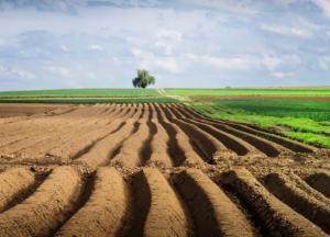 Украинцам выдадут деньги за отказ от земли