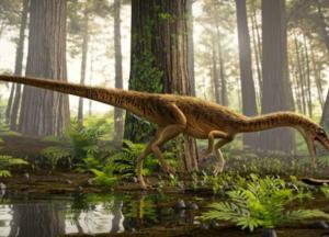 Археологи нашли останки "монстра", жившего 230 млн лет назад