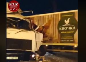 В Киеве столкнулись 9 авто: затруднено движение транспорта (видео, фото)