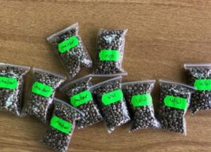 Житель Волынской области пытался выслать за границу сортовую коноплю на 3 млн гривен