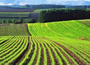 Рынок земли: общая сумма сделок превысила 4 миллиарда