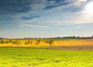 Прогноз погоды на 19 июля: ощутимо потеплеет