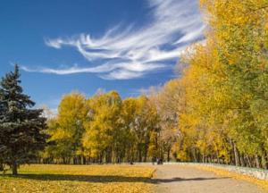 Прогноз погоды на 16 сентября: в Украине сохраняется тепло