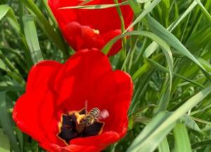 Прогноз погоды на 18 апреля: днем солнечно и без осадков, а ночью – заморозки