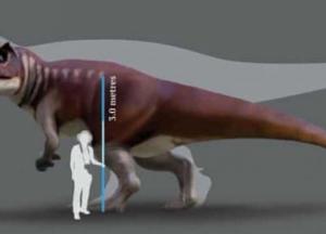 В Австралии найдены следы гигантского хищного динозавра