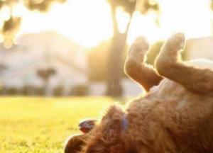 Прогноз погоды на 8 сентября: утром будет туманно, днем – тепло и солнечно