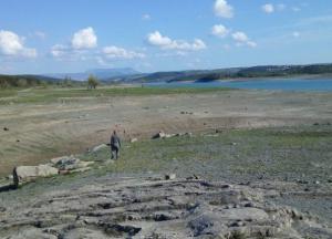 Крым постигла экологическая катастрофа (фото)